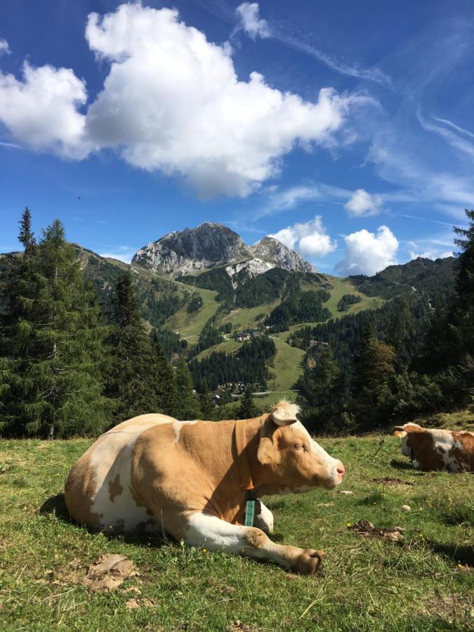 Landhaus Kloosterstube Hermagor-Pressegger See Zewnętrze zdjęcie